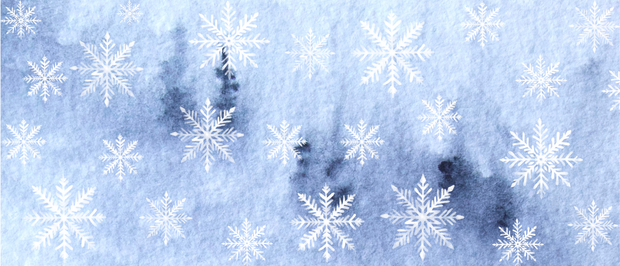 <h1><strong>Big Holiday Sale</strong></h1>