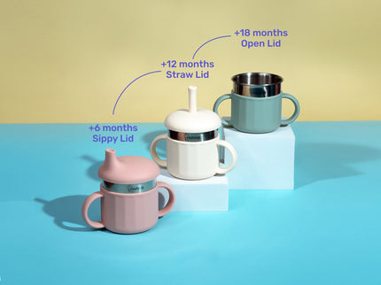 Sippy Cup - Dual Lid