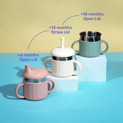 Sippy Cup - Dual Lid