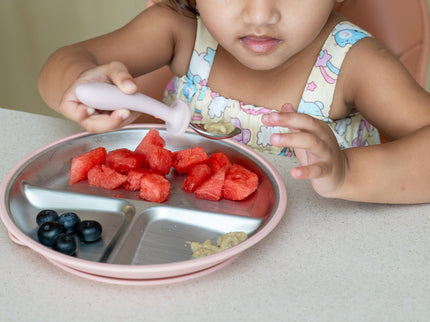 Suction Plate